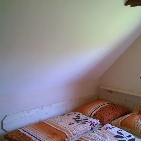 Ferienhaus Leo Und Livia Zempin Extérieur photo
